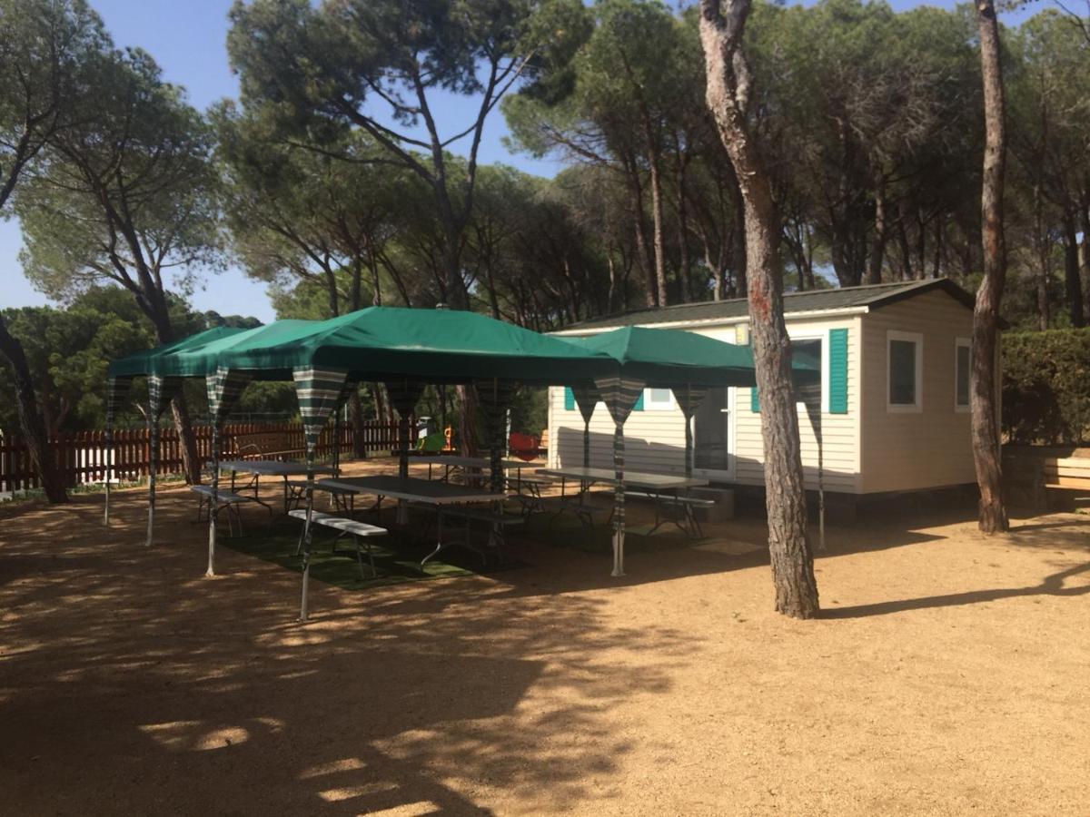 Camping Treumal Hotel Sant Antoni De Calonge Bagian luar foto